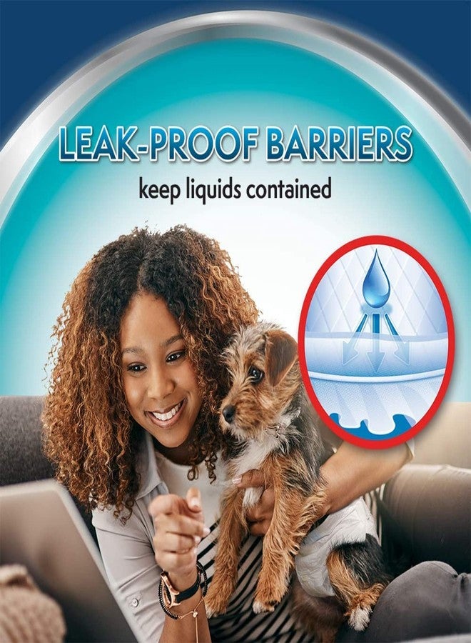 Simple Solution True Fit Disposable Dog Diapers for Female Dogs, Quickly Absorb Liquid for Long Lasting Dryness, Small 30-48cm Waist (12 Pack) - Image 4